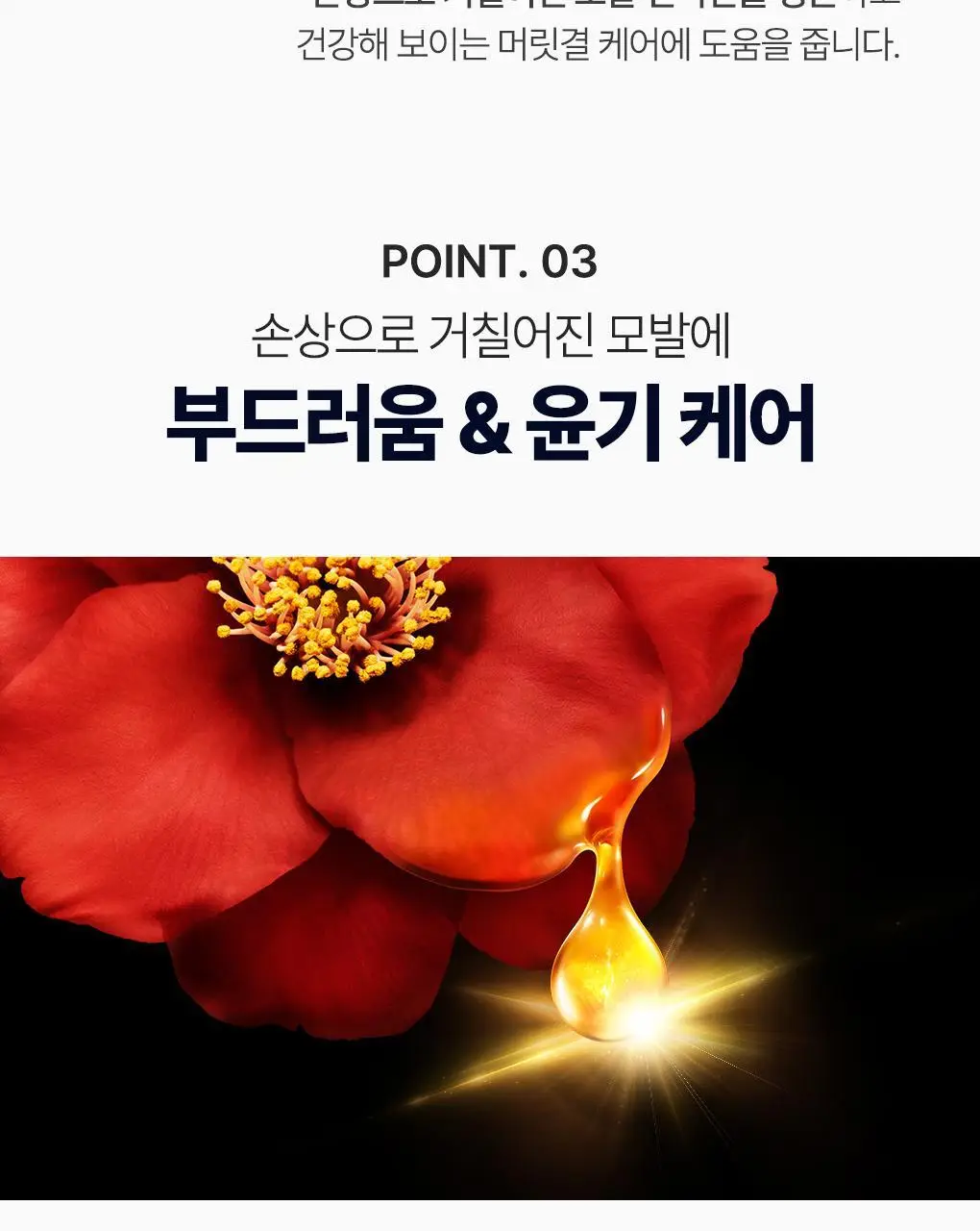 [집중영양케어] 츠바키 프리미엄 EX 데미지케어 & 리페어 샴푸 450ml 상세페이지 13